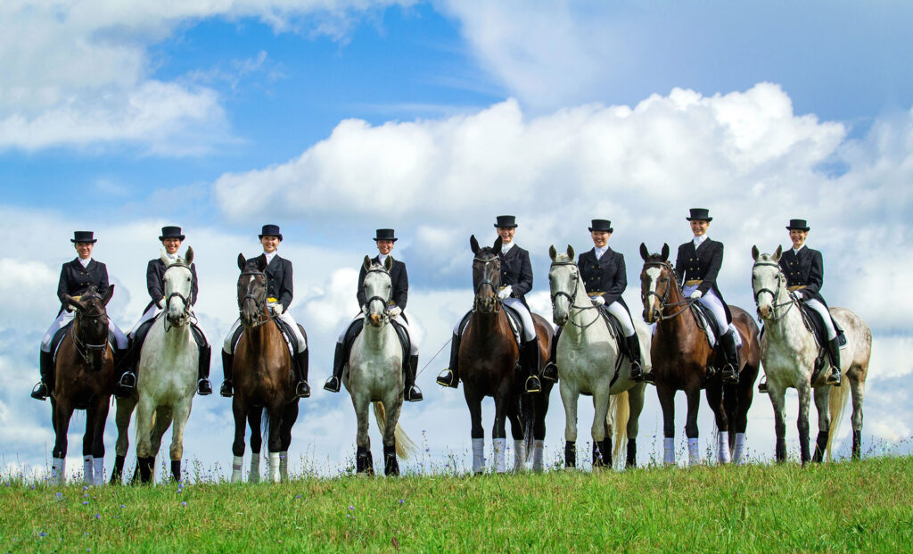 Equine Courses Animal Naturopathic Medicine Educatum   Shutterstock 149387720 Copy 1024x621 